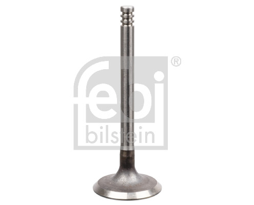 FE21210, Sací ventil, Ventil sací IN (1), FEBI BILSTEIN, 030109601AD, 030109601AH, 30109601AH, 032109601E, 30109601AD, 32109601E, 01-23323-SX, 0190009, 029VE30524000, 0929, 100613, 11090175401, 20103-12603, 30340010, 3266.002, 33387, 39530, 51241, 550929B, 825300, AIV9530, B18641, IV39530, IV9530, MV409292, PV1361, R4952/S, V039530, V94114, VI0027