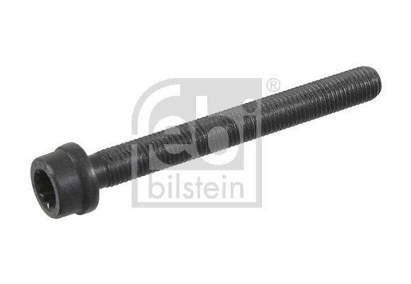 FE22030, Šroub hlavy válce, šroub, FEBI BILSTEIN, 022103384C, 22103384C, 057.290, 14-32129-01, 32922030, 8709195, WG1242918, 057.380, 14-32129-02, WG1455891, WG2438262