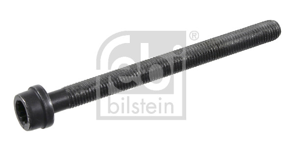 FE22032, Šroub hlavy válce, šroub, FEBI BILSTEIN, 022103384D, 22103384D, 057.290, 14-32129-01, 30922032, 8709195, WG1242918, 057.380, 14-32129-02, WG1455891, WG2438263
