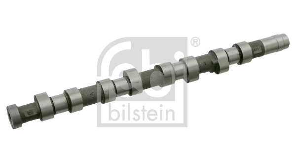 FE24689, Vačkový hřídel, Vačka, FEBI BILSTEIN, 0801.T5, 9624835280, 801.T5, 9624835288, 12.15004, 20100, 225907, 428010710, 50006389, 64924689, 666881, 93083800, AC7687, AZMT-30-053-2305, BSG70-108-002, C242, CAM679, CM05-2142, EC365, HV0209, MVK3069, T7687, WG1011710, 666881K, 93124100, EC665, MVK3069C, WG1017696, WG1051419, WG1051621