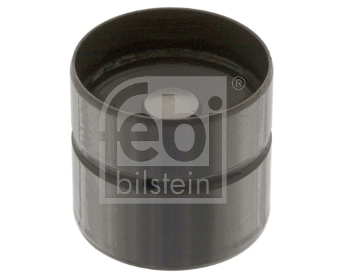 FE48733, Zdvihátko ventilu, Zdvihátko vent., FEBI BILSTEIN, 55210458, 1003089N, 221720, 420021110, 45-4251, 70948733, 85002700, 955256, AHL7988, HL6012, MVE1955, WG1170649, 221720M, MVE1955C, WG1250829, MVE1956, WG2155994, MVE2418, WG2528068