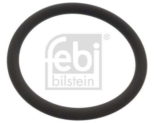 FE48765, Dichtring, Wasserpumpe, FEBI BILSTEIN, 1670333, 2000735, 102147, 115.932, 123748, 5.45402, UPG0032000735, WG2324376