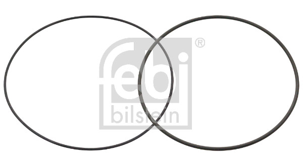 FE49829, Sada těsnění válce, o-kroužky, O-kroužek sada, FEBI BILSTEIN, 1328995, 1328995S1, 2071088, 2071088S1, 03535029, 047.123, 050111110004, 101650, 106690, 126.001, 1.27408, 130205, 15-77006-01, 16518100, 19351, 205139000100, AR02496, EAP00044, LP1373330, WG1098425, 03870060, 050111110005, 126.010, 1.27426, 520407, AR03042, EAP00623, WG1190653, 061SK50016000, 1.33141