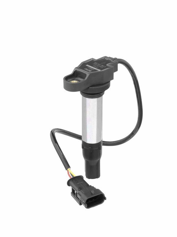 ZS441, Ignition Coil, BorgWarner (BERU), 38010144B, 10706, 8010706, 85.30400, 880209, JM5354