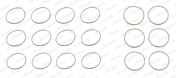 O-Ring Set, cylinder sleeve - HL5003 PAYEN - 99456553, 99456554, 649.740