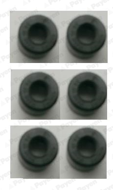 Seal Set, valve stem - HR299 PAYEN - EAC5032