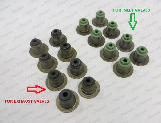 Seal Set, valve stem - HR5063 PAYEN - 1151825, 1206655, 1S7G6A517BG