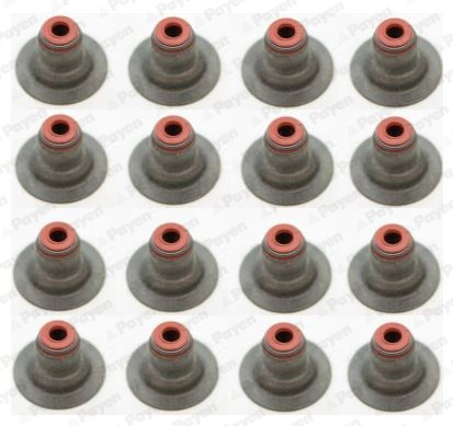 Seal Set, valve stem - HR5087 PAYEN - 24405819, 71739773, 642002