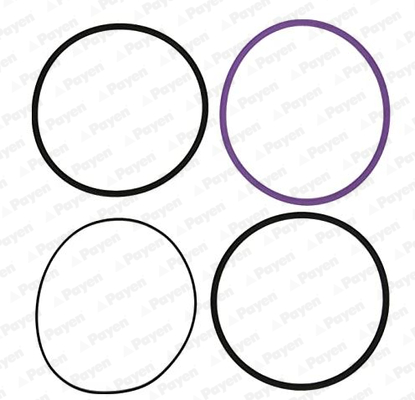 O-Ring Set, cylinder sleeve - HT002 PAYEN - 270950, 2709509, 2711216