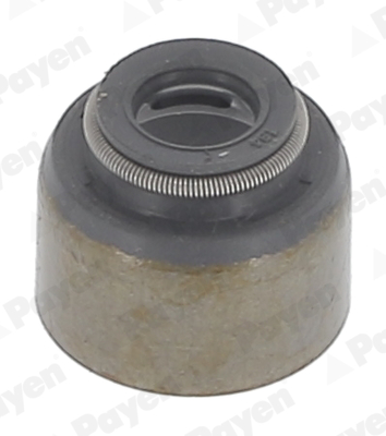 Seal Ring, valve stem - KJ570 PAYEN - 2222421010, MD016490, MD115472