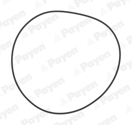 PA708, O-Ring, cylinder sleeve, PAYEN, 0000157968, 44181, LA5255, 157968