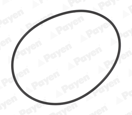O-Ring, cylinder sleeve - PA709 PAYEN - 0000157426, 0119976245, 5000786229