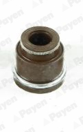 Seal Ring, valve stem - PA933 PAYEN - 1320742L00, 4295826, 1320781W00