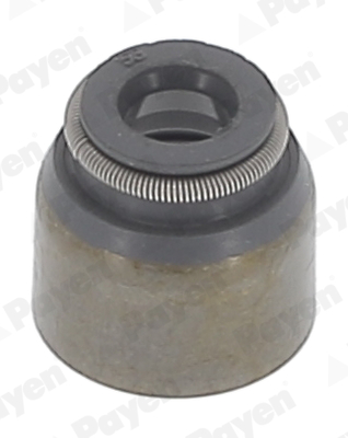 Seal Ring, valve stem - PB681 PAYEN - 13207-00Q0A, 1320753Y00, 2000530400