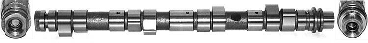 CAM377, Nockenwelle, AE, 1020503101, 647021, 1020504501, 1020504801, 1020505501, A1020503101, A1020504501, A1020504801, A1020505501, 03121, 215109, 428001810, 93003100, CM05-2130, CS6372, EC572, T2144