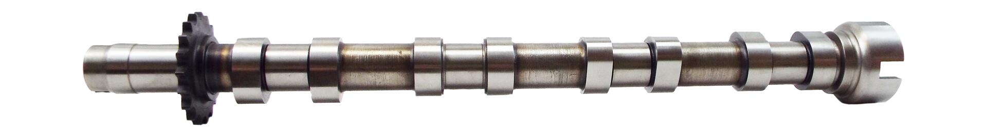 CAM975, Nockenwelle, AE, 0801.E0, 0801EX, 1692283, 647146, 9670585280, C2S46781, LR021914, MN928133, 0801.EX, 0801FZ, 6G9Q-6A268-AC, 9685270588, MN982333, XR858319, 0801.FZ, 50007708, C364, CM05-2271, CS6703, EC663, T7692