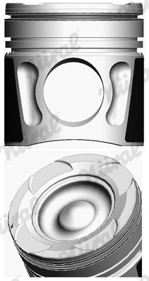 Piston with rings and pin - 87-423000-00 NÜRAL - 51.02500-6163, 51.02500.6262, 2293700
