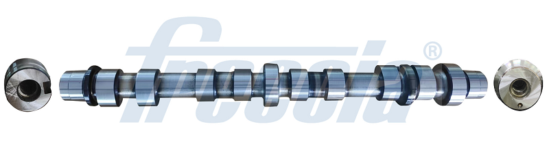 Camshaft - CM05-2265 FRECCIA - 55565850, 5636107, 50007107 | K ...