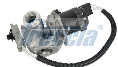 EGR Valve - EGR12-122 FRECCIA - 1353152, 30750092, 1748265 | K ...