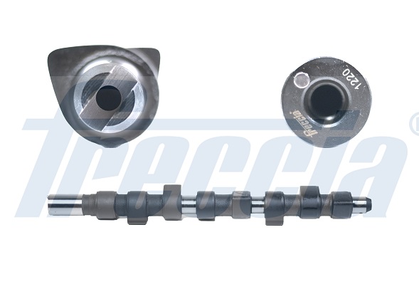 CM05-2106, Nockenwelle, FRECCIA, 5950297, 46444230, 1001651N, 50007567, CAM641, CS9377, T8054