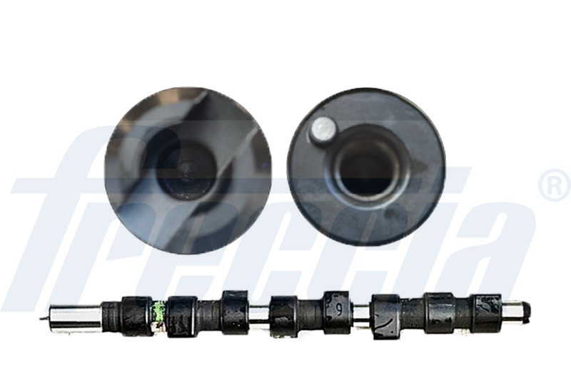 CM05-2117, Camshaft, FRECCIA, 46552984, 50006189, CAM417, CP16392, CS6310, T8046