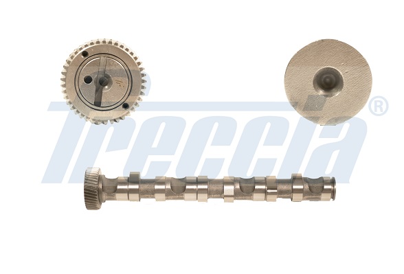 CM05-2122, Vačkový hřídel, Vačka, FRECCIA, 059109022BC, 059109022K, 059109022Q, 26978, 30926978, 50006303, C246, CAM703, CP10241, CS3594, T063