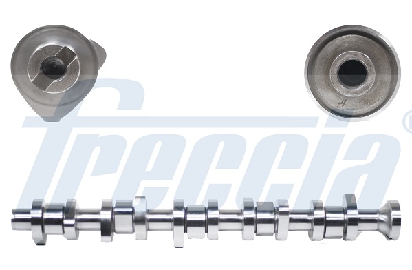 CM05-2125, Nockenwelle, FRECCIA, 070109101P, 215405, 30934492, 34492, 50007577, 668881, C280, CAM916, CP10258, CS9650, HV0014, T067A