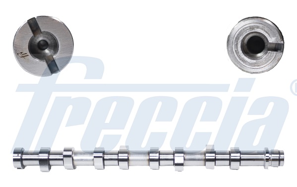 CM05-2144, Vačkový hřídel, Vačka, FRECCIA, 0801.CY, 1386533, 2S6Q6250AD, 1002199N, 215915, 50007081, 647252, C260, CAM726, CP11115, CS4573, HV0048, T1957