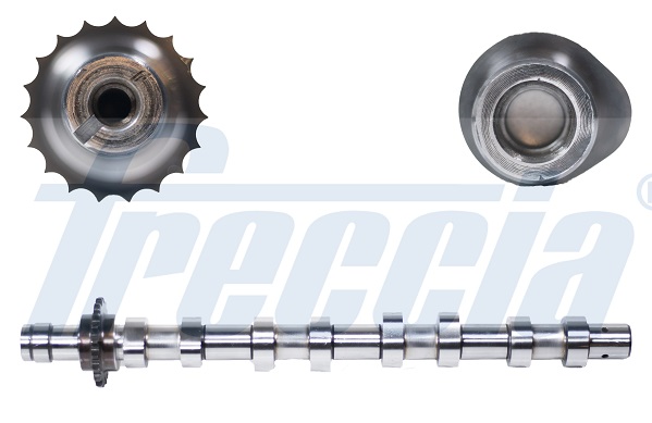 CM05-2146, Vačkový hřídel, Vačka, FRECCIA, 0801.EQ, 0801.Z9, 11317805963, 12711-73J00, 30711505, 3M5Q6A270AC, 9655918580, Y60112421, 0801EQ, 1313804, 7805963, Y601-12-421, 17269N, 215916, 428011910, 50007573, 647254, C266, CAM746, CP11111, CS5531, T1959