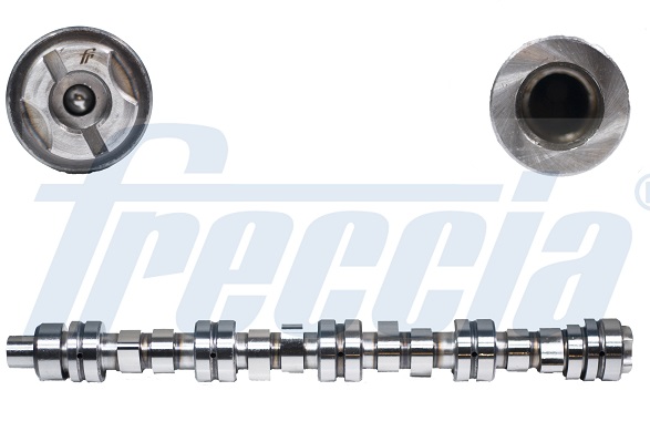 CM05-2153, Nockenwelle, FRECCIA, 1614766, 81FM6251KB, B1SM6251KE, 03017, 215208, 50006259, 50310002, CAM185, CP11107, CS6392, HV0248, S8134, T8134