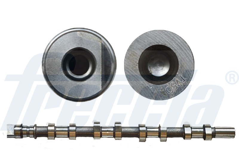 CM05-2165, Nockenwelle, FRECCIA, 4506071, 8200019181, 50007118, 669824, AC1963, C256, CAM926, CP11473, CS1555, T1963