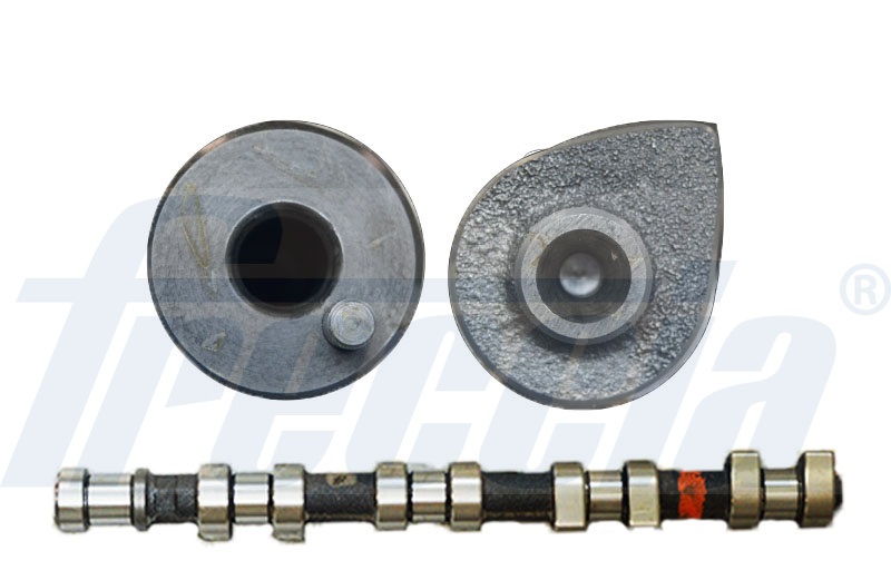 CM05-2173, Camshaft, FRECCIA, 5636011, 90512899, 215310, 50006312, CAM462, CP12238, CS6339, T8301, CMA462