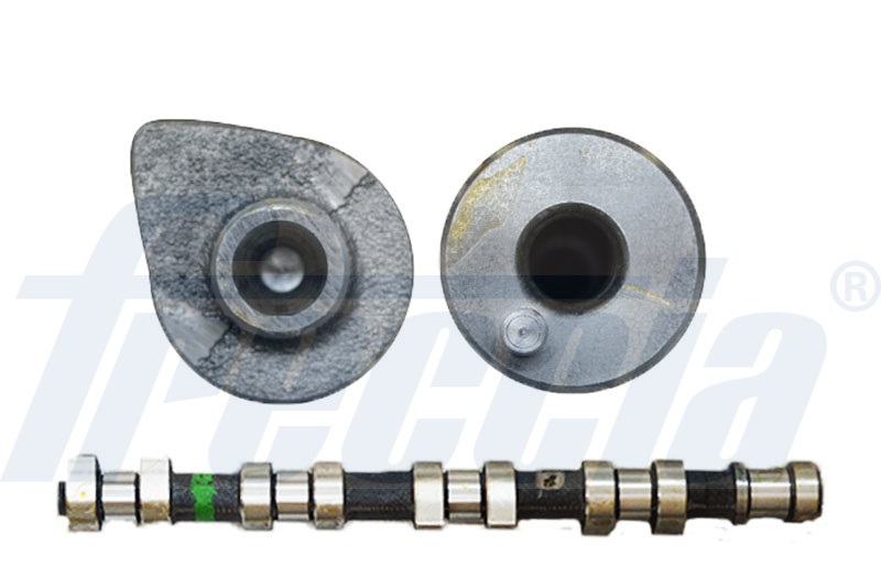 CM05-2174, Camshaft, FRECCIA, 5636012, 90512904, 215311, 50006313, CAM463, CP12239, CS6336, T8300