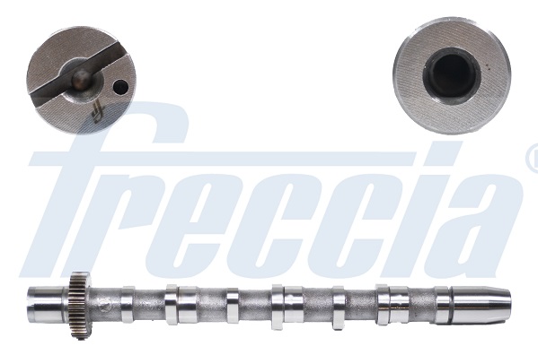 CM05-2189, Vačkový hřídel, Vačka 2,5TDI V6, FRECCIA, 059109021BA, 059109021CK, 059109021CR, 50006346, CAM934, HV0303