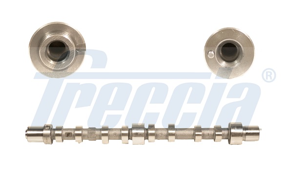 CM05-2199, Nockenwelle, FRECCIA, 504096185, 504006993, 504174770, 1002207N, 50007031, HV0290, T4518