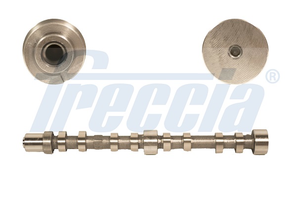 CM05-2200, Nockenwelle, FRECCIA, 504096183, 504006995, 504174775, 1002208N, 50007033, HV0291, T4519