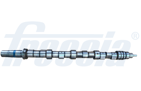 CM05-2223, Nockenwelle, FRECCIA, 0801.K9, 18357, 215905, 50006267, 62918357, 647058, 93086300, AC7696, CAM676, CS8366, EC679, GT1040010, T7696