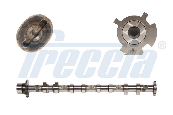 CM05-2248, Nockenwelle, FRECCIA, 06D109101AL, 06D109101AP, 50007588, 647294, CAM988, HV0376, T2630