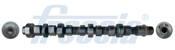CM05-2283, Vačkový hřídel, Vačka, FRECCIA, 55206425, 1001203R, C414