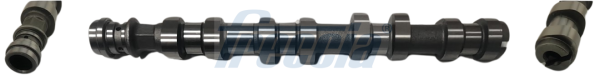 CM05-2362, Nockenwelle, FRECCIA, 636031, 55562230, AC6474, C411, CAM1077, T2907, T4526