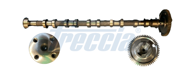 CM05-2369, Vačkový hřídel, Vačka, FRECCIA, 31258094