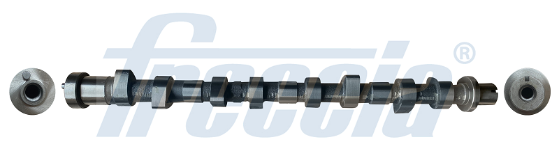 CM05-2390, Nockenwelle, FRECCIA, 13001-AU600, 13020-8H810, 13020-AD212, 13020-AU600, 50007802, 647276, C290, CAM943, CS6307, EC457, HV0345, T8074, C295