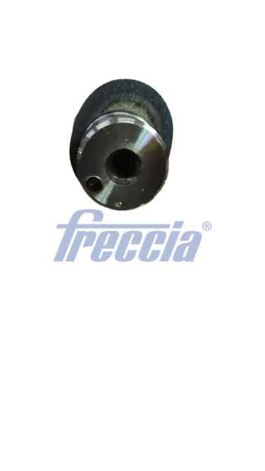 CM05-2446, Camshaft, FRECCIA, 11318664035, AC6458, C566, EC146, T4542