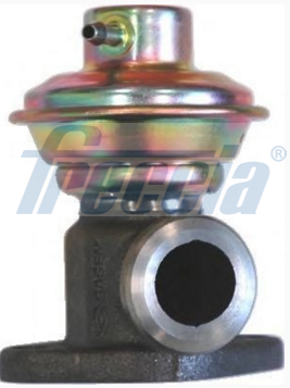 EGR12-190, AGR-Ventil, Ventil AGR/EGR, FRECCIA, 7700101088, 555001, 83.748