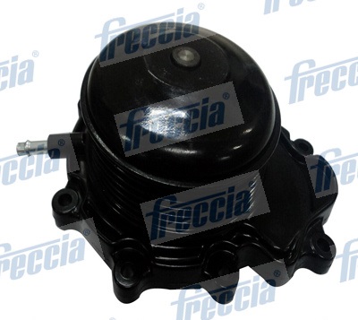 Water Pump, engine cooling - WP0284 FRECCIA - 6512001301, 6512001101, 6512001901