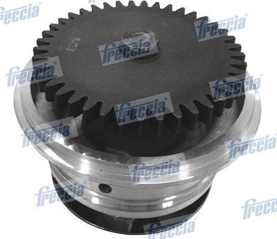 WP0295, Water Pump, engine cooling, FRECCIA, 062121010A, 062121010B, 2070, 24-1011, A229, PA10132