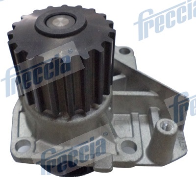 Water Pump, engine cooling - WP0302 FRECCIA - 493169, 24-1200, PA1200
