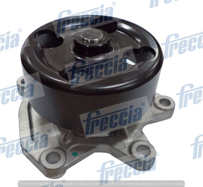 WP0508, Vodní čerpadlo, chlazení motoru, Pumpa vodní, FRECCIA, 210105877R, B1010-1KC0A, 21010-1KC0A, 130597, 24-1172, N159, P7398, PA1172, PQ-100, WAP8570.00, WP6592