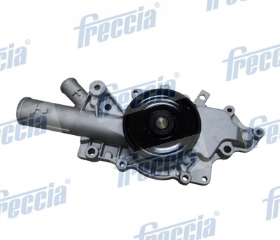Water Pump, engine cooling - WP0542 FRECCIA - A613.200.06.01, 24-0955, M266