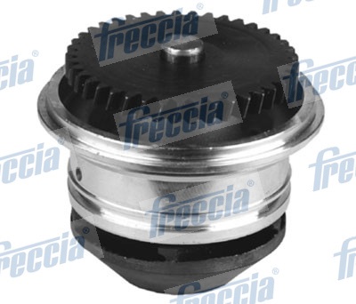 Water Pump, engine cooling - WP0545 FRECCIA - 062121010, 2060, 24-1010